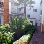 gardens