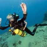 <!--:en-->Annual Clean Up Of The Nerja Sea Bed<!--:--><!--:es-->Annual Clean Up Of The Nerja Sea Bed<!--:-->