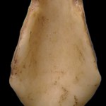 <!--:en-->Ancient Jewelry Uncovered In Nerja Caves<!--:-->
