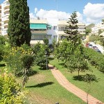 Burriana MNCA015913