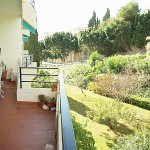 Burriana MNCA015913
