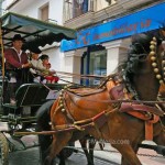 Horse-carriage-Nerja