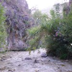 rio-chillar-gorge